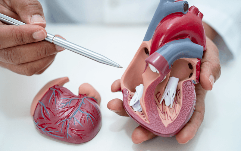 Cardiovascular Diseases